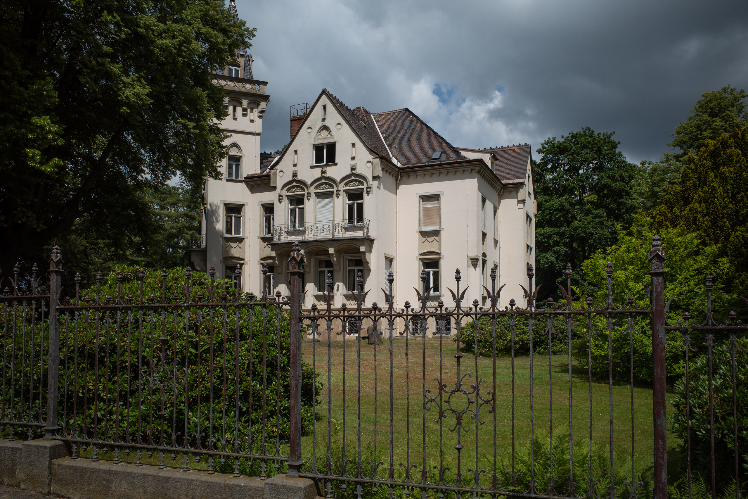 Lichtung im Kiefernwald